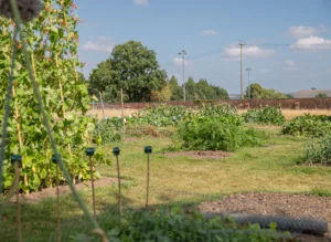Coombe House-Images-School-Text-Farm_106